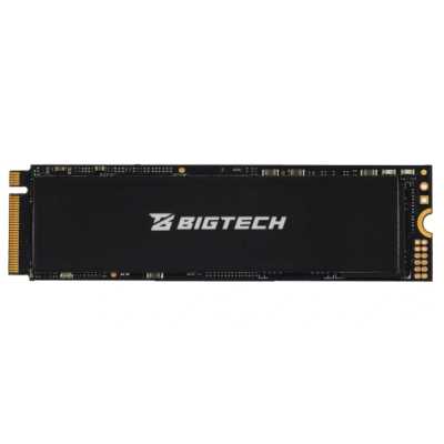 SSD диск BigTech 256Gb BSDS256ME Черный