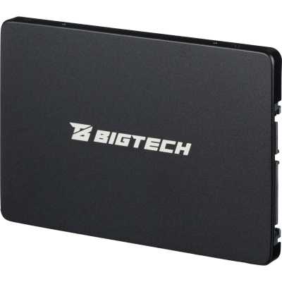 SSD диск BigTech 256Gb BSDS256SE Черный