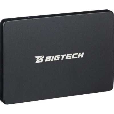 SSD диск BigTech 256Gb BSDS256SE Черный