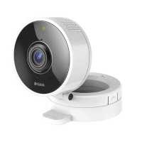 IP видеокамера D-Link DCS-8100LH/A1A