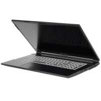 ноутбук Dream Machines RG3060-17EU39 Черный
