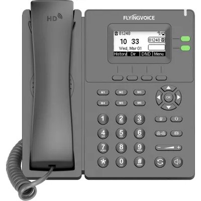 IP телефон Flyingvoice P20G Серый