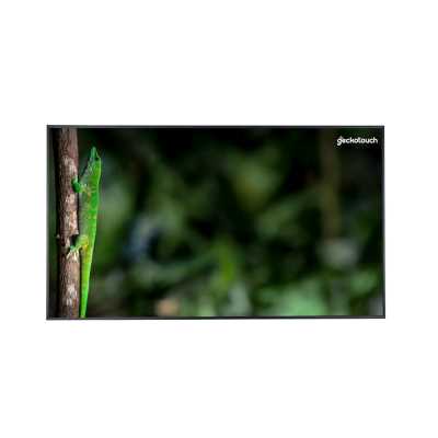 профессиональный дисплей Geckotouch 55DCR