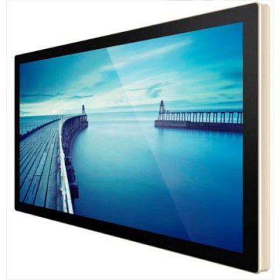 профессиональный дисплей GoodView TC32H1