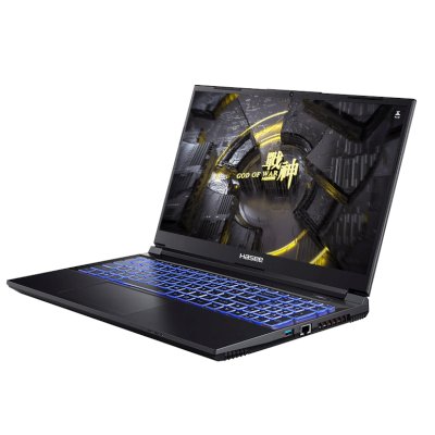 ноутбук Hasee 04HAZ8D6FHD-wpro Черный
