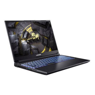 ноутбук Hasee 04HAZ8D6FHD-wpro Черный