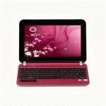 нетбук HP Mini 210-3051er Розовый