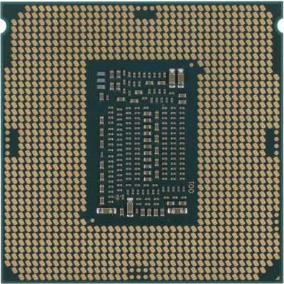 процессор Intel Xeon E-2244G OEM