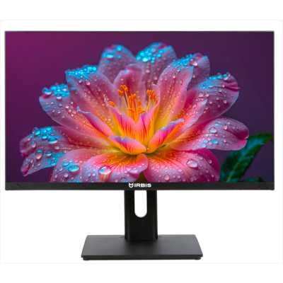 монитор Irbis SmartView ISM24FIDR_U Черный