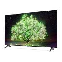 телевизор LG OLED55A1RLA
