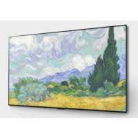 телевизор LG OLED55G1RLA