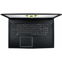ноутбук MSI WT75 9SL-201 Черный