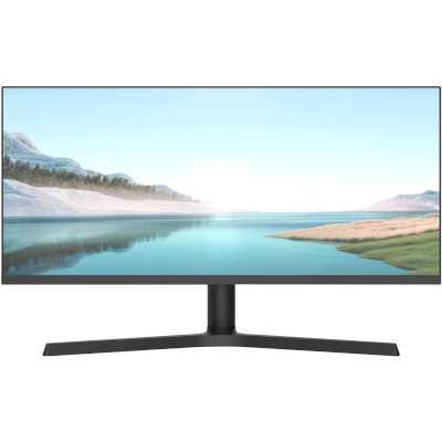 монитор NPC MZ300L Черный