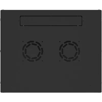телекоммуникационный шкаф NTSS Lime NTSS-WL9U5560GS-BL Черный