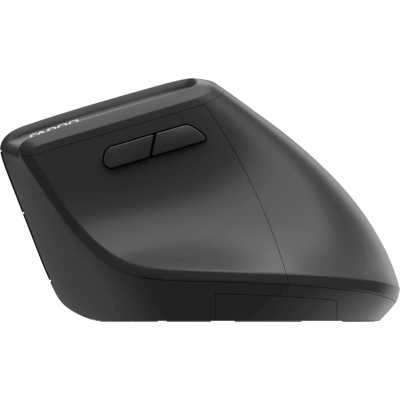 мышь Rapoo EV310M-DGR Black Черный