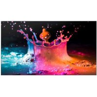 ЖК панель Samsung UD55E-P Черный
