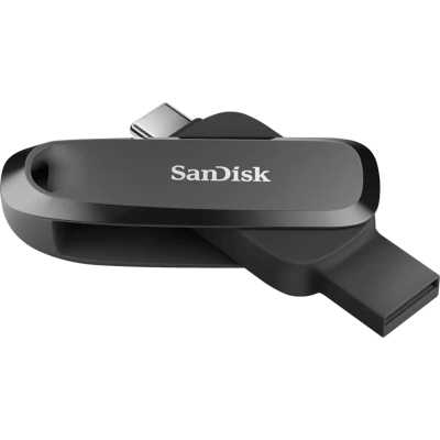 флешка SanDisk 256GB SDDDC6-256G-G46 Черный