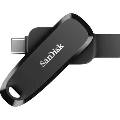 флешка SanDisk 256GB SDDDC6-256G-G46 Черный