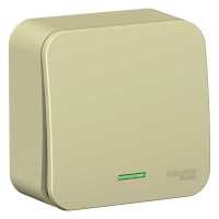 выключатель Schneider Electric Blanca BLNVA101117